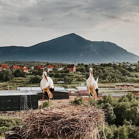 Rtanjska Bajka Διαμέρισμα *