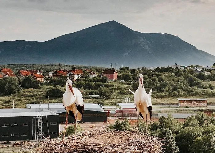 Rtanjska Bajka アパート *